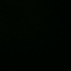 Meet your Posher, Eboni